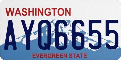 WA license plate AYQ6655