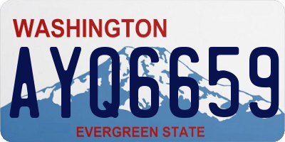 WA license plate AYQ6659