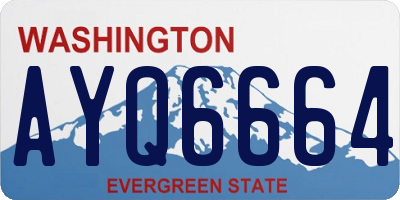 WA license plate AYQ6664