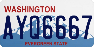 WA license plate AYQ6667