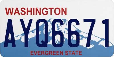 WA license plate AYQ6671