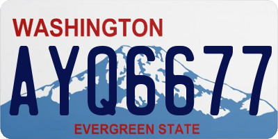 WA license plate AYQ6677