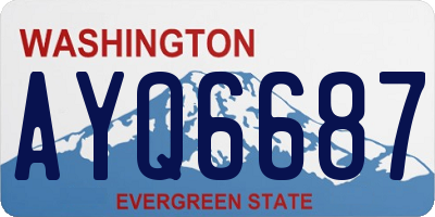 WA license plate AYQ6687