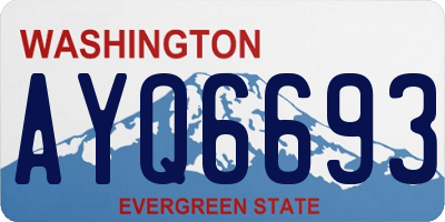 WA license plate AYQ6693