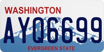 WA license plate AYQ6699