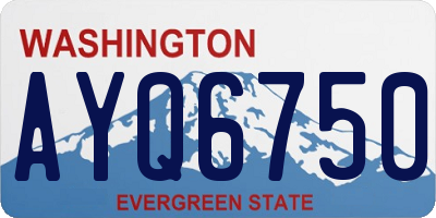 WA license plate AYQ6750