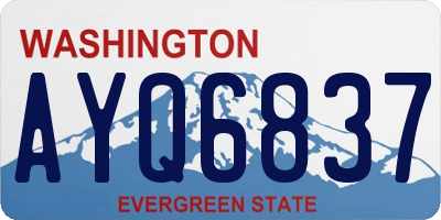 WA license plate AYQ6837