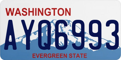 WA license plate AYQ6993