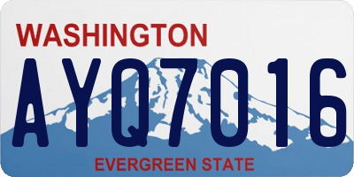 WA license plate AYQ7016