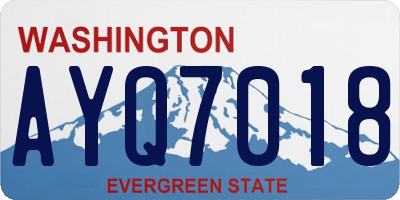 WA license plate AYQ7018