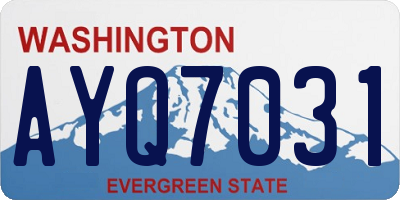 WA license plate AYQ7031