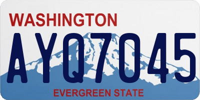 WA license plate AYQ7045