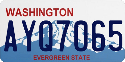 WA license plate AYQ7065