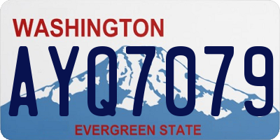 WA license plate AYQ7079