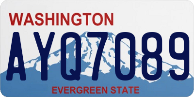 WA license plate AYQ7089