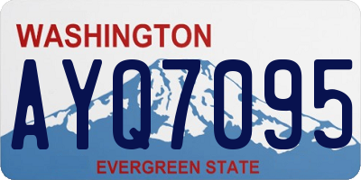 WA license plate AYQ7095