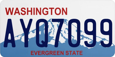 WA license plate AYQ7099