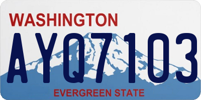WA license plate AYQ7103