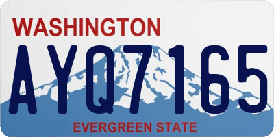 WA license plate AYQ7165