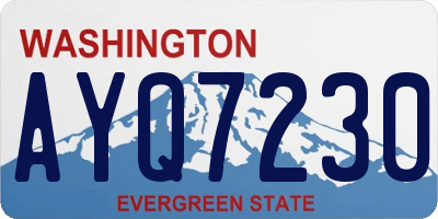 WA license plate AYQ7230