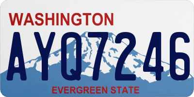 WA license plate AYQ7246
