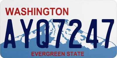 WA license plate AYQ7247