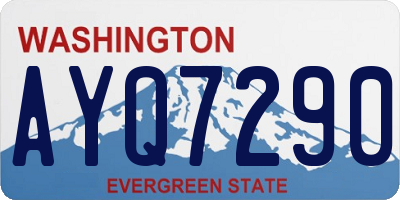 WA license plate AYQ7290