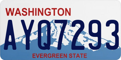 WA license plate AYQ7293