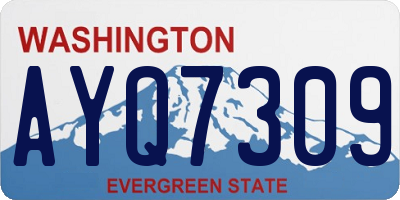 WA license plate AYQ7309