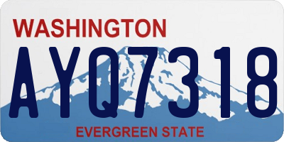 WA license plate AYQ7318