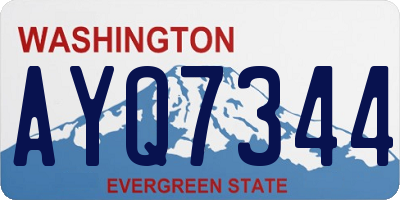 WA license plate AYQ7344