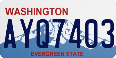 WA license plate AYQ7403