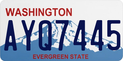 WA license plate AYQ7445