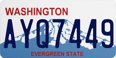 WA license plate AYQ7449