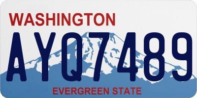 WA license plate AYQ7489