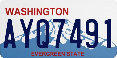 WA license plate AYQ7491