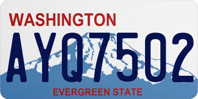 WA license plate AYQ7502