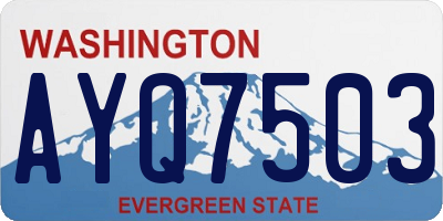 WA license plate AYQ7503