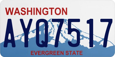 WA license plate AYQ7517