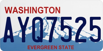 WA license plate AYQ7525