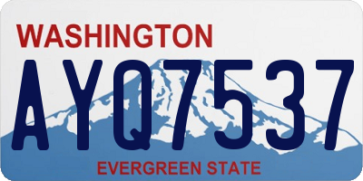 WA license plate AYQ7537