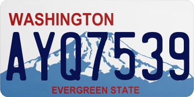 WA license plate AYQ7539