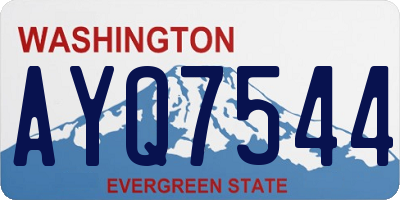 WA license plate AYQ7544