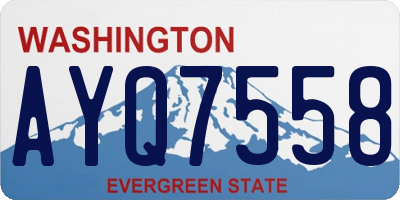 WA license plate AYQ7558