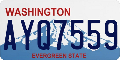 WA license plate AYQ7559