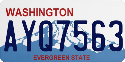 WA license plate AYQ7563