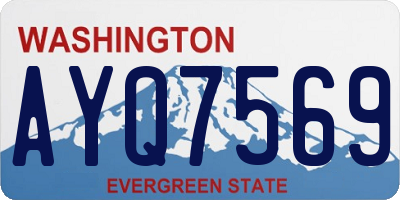 WA license plate AYQ7569