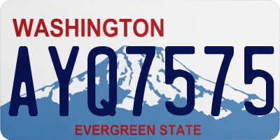 WA license plate AYQ7575