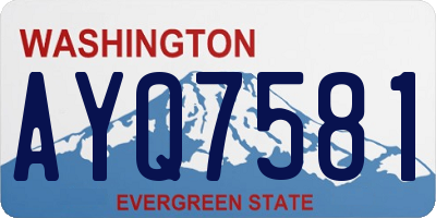 WA license plate AYQ7581