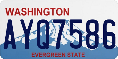 WA license plate AYQ7586